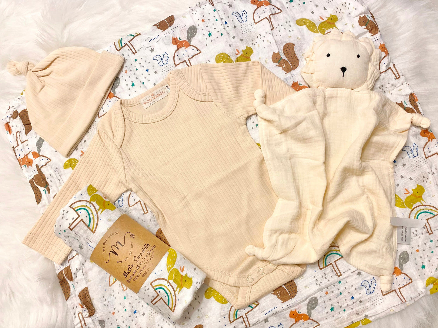 Boho Mushroom New Baby Gift Set, New Baby boy gift, New Baby Gift, Newborn gift box, New Baby Gift box, Baby Shower Gift, Baby Gift, Neutral Baby Boy Gift, Brown Rainbow Baby Boys Squirrels
