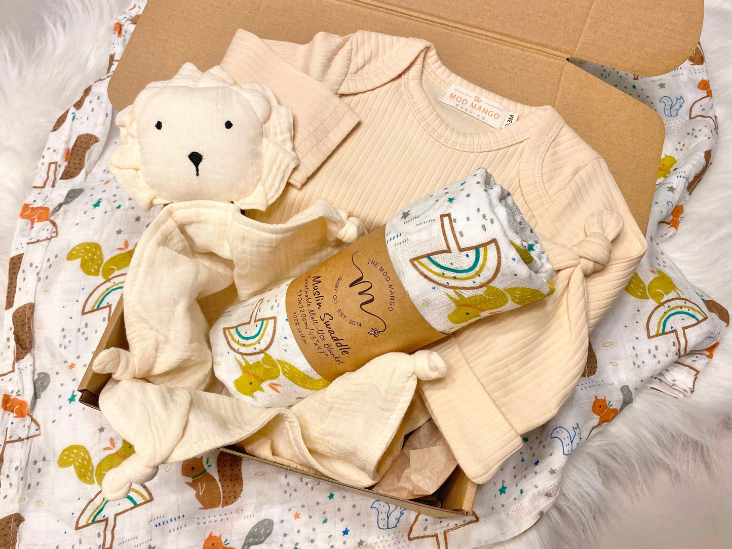 Boho Mushroom New Baby Gift Set, New Baby boy gift, New Baby Gift, Newborn gift box, New Baby Gift box, Baby Shower Gift, Baby Gift, Neutral Baby Boy Gift, Brown Rainbow Baby Boys Squirrels