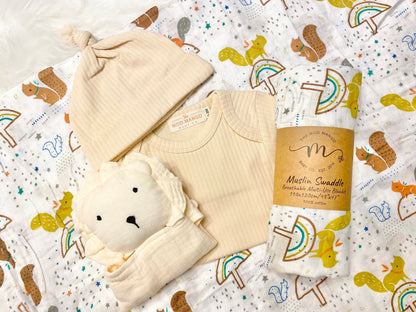 Boho Mushroom New Baby Gift Set, New Baby boy gift, New Baby Gift, Newborn gift box, New Baby Gift box, Baby Shower Gift, Baby Gift, mushroom baby gift, squirrels fall baby gift set box, newborn baby boy gift, brown rainbow baby boy