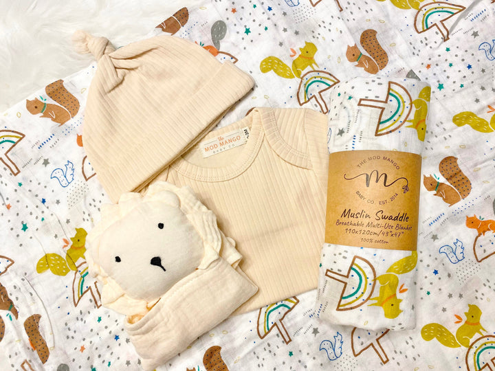 Boho Mushroom New Baby Gift Set, New Baby boy gift, New Baby Gift, Newborn gift box, New Baby Gift box, Baby Shower Gift, Baby Gift, Neutral Baby Boy Gift, Brown Rainbow Baby Boys Squirrels