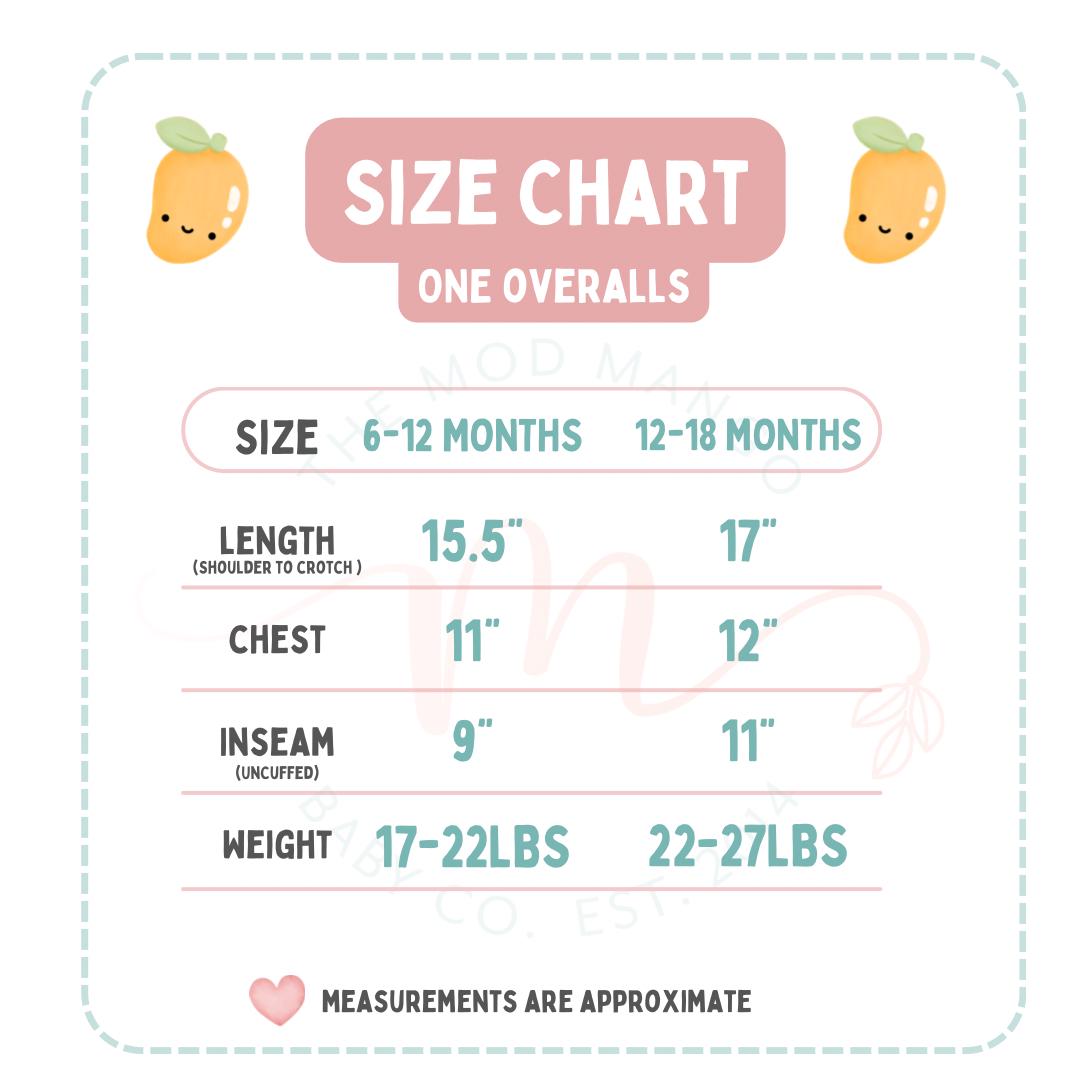 Boys First Birthday Corduroy Overalls: Leather Patch ONE Romper