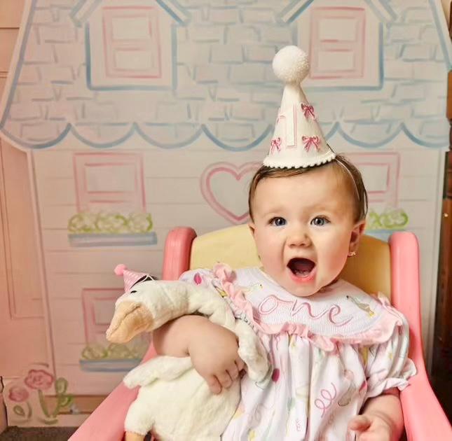 one silly goose girls first birthday bubble romper outfit pink bows first birthday girl romper pink and white outfit, pink sage green smocked dress first birthday embroidered  goose smocked short sleeve 1st birthday outfit ruffle dress baby girls