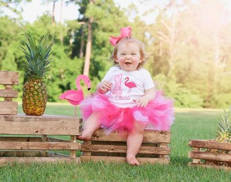 Pink Flamingo Personalized 1st Birthday Tutu Outfit